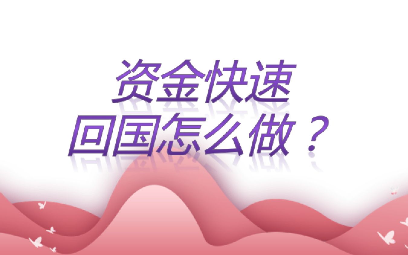 资金回国的好办法/外汇额度不够怎么办/资金快速回国/避免港卡封卡的办法哔哩哔哩bilibili