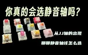 Tải video: 最静音的就最好吗？不同使用场景的静音轴体选择丨碎碎念的浅浅分析一波