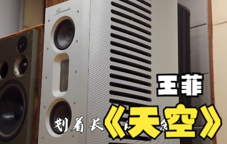 [图]一曲天籁之音，从天而降，来自柏林之声现场版的《天空》