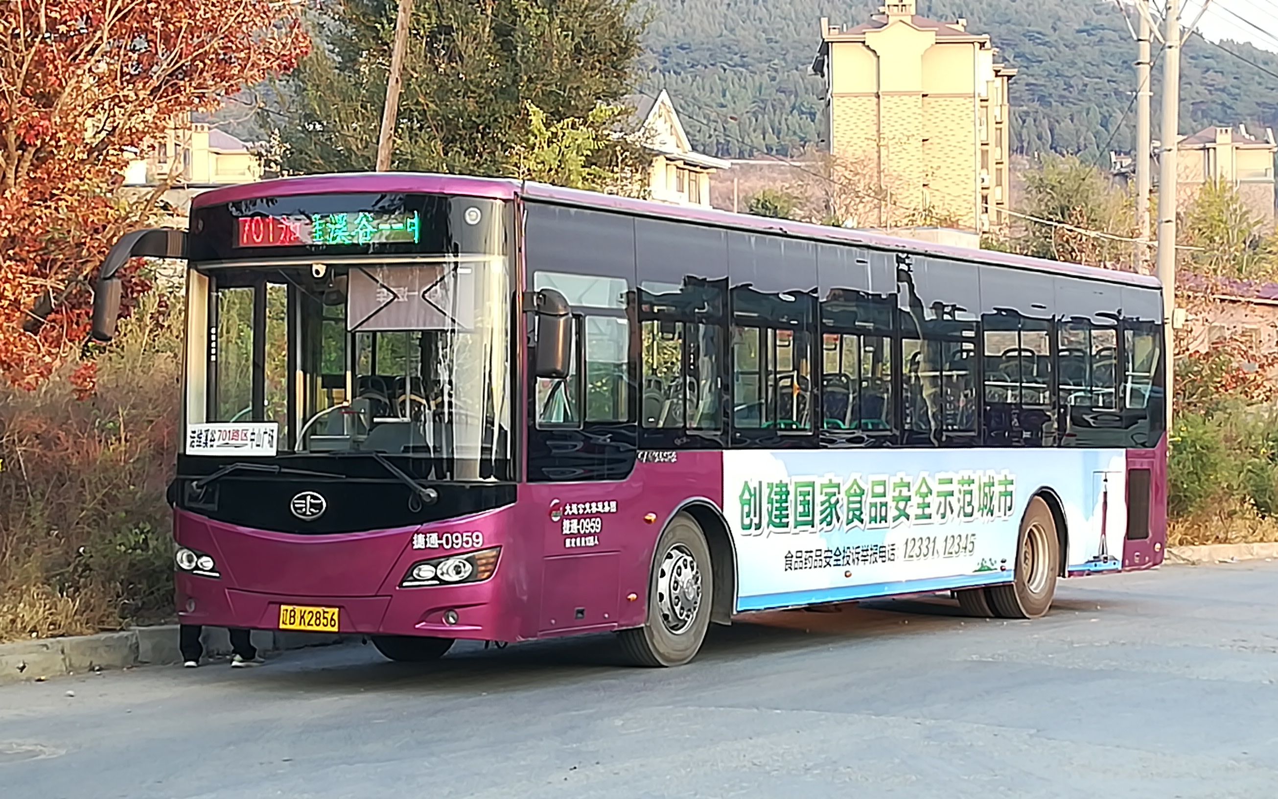 【2020公共交通祭落选作品】大连公交——701路 [诺维溪谷→中山广场]