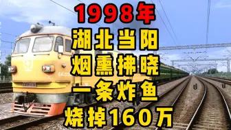 模拟1998年湖北当阳烟熏拂晓一条炸鱼烧掉160万