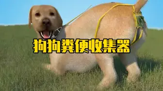 狗狗便便收集器