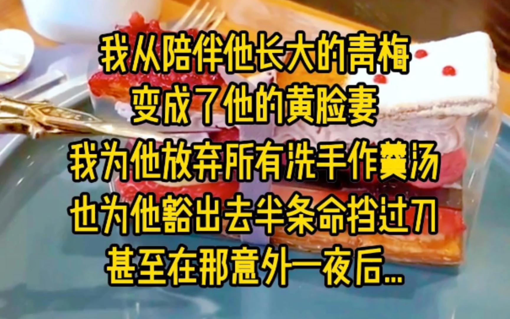 我从陪伴他长大的青梅,摇身一变,变成了他的黄脸妻,我为他放弃所有洗手作羹汤,也为他豁出去半条命挡过刀,甚至在那意外一夜后...哔哩哔哩bilibili