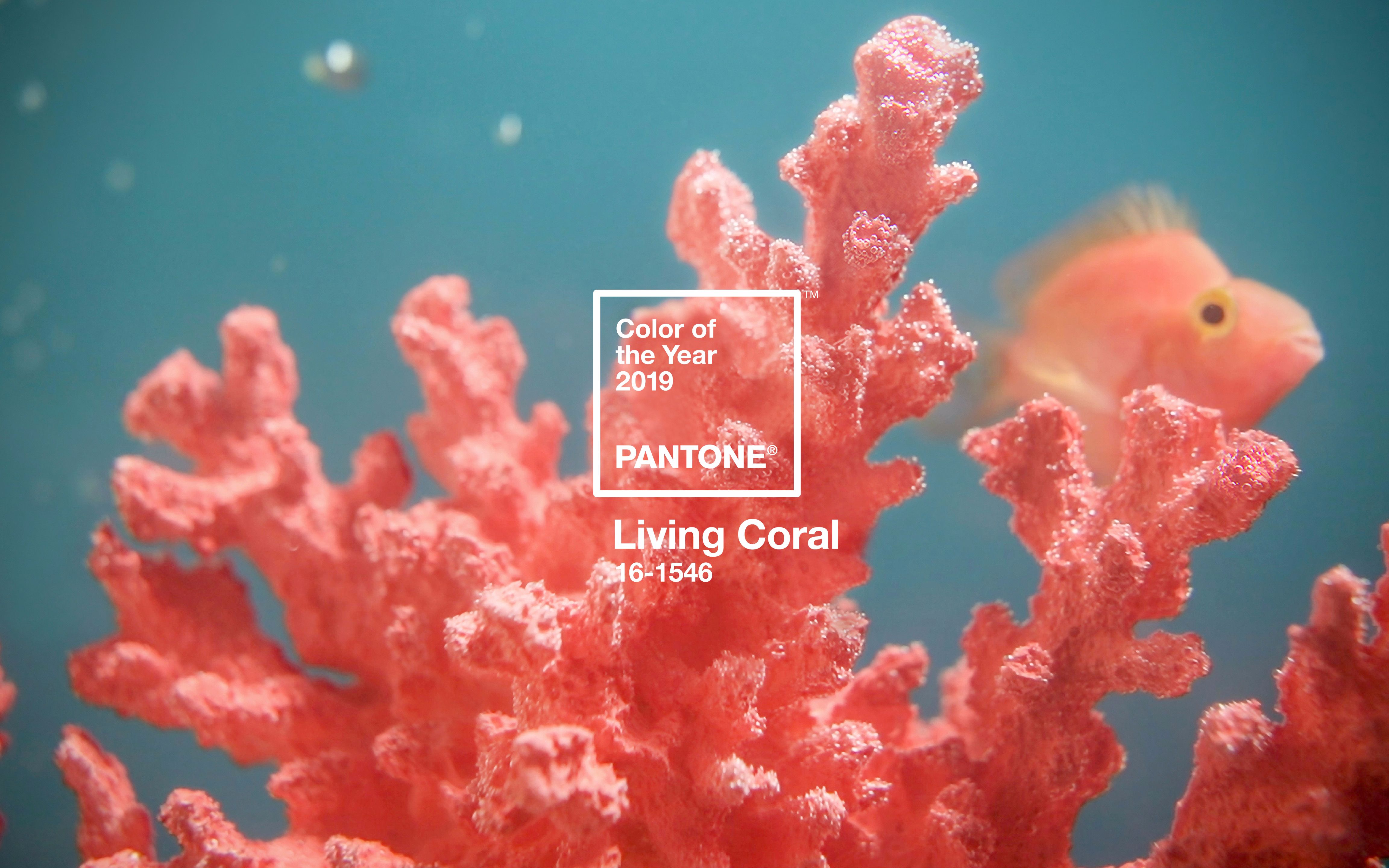 pantonecoloroftheyear潘通年度代表色1416171819年视频