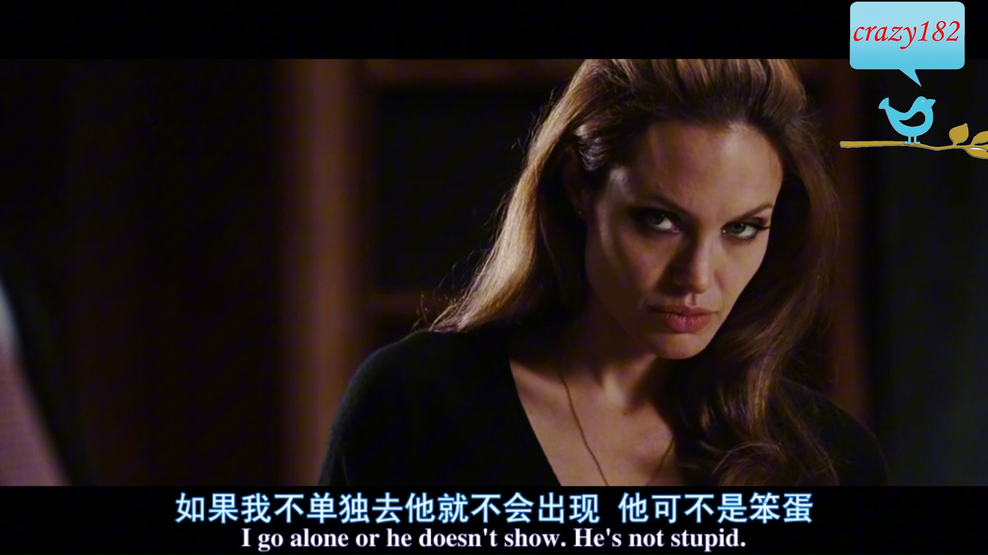 主动出击-安吉丽娜朱莉经典电影刺客联盟-16