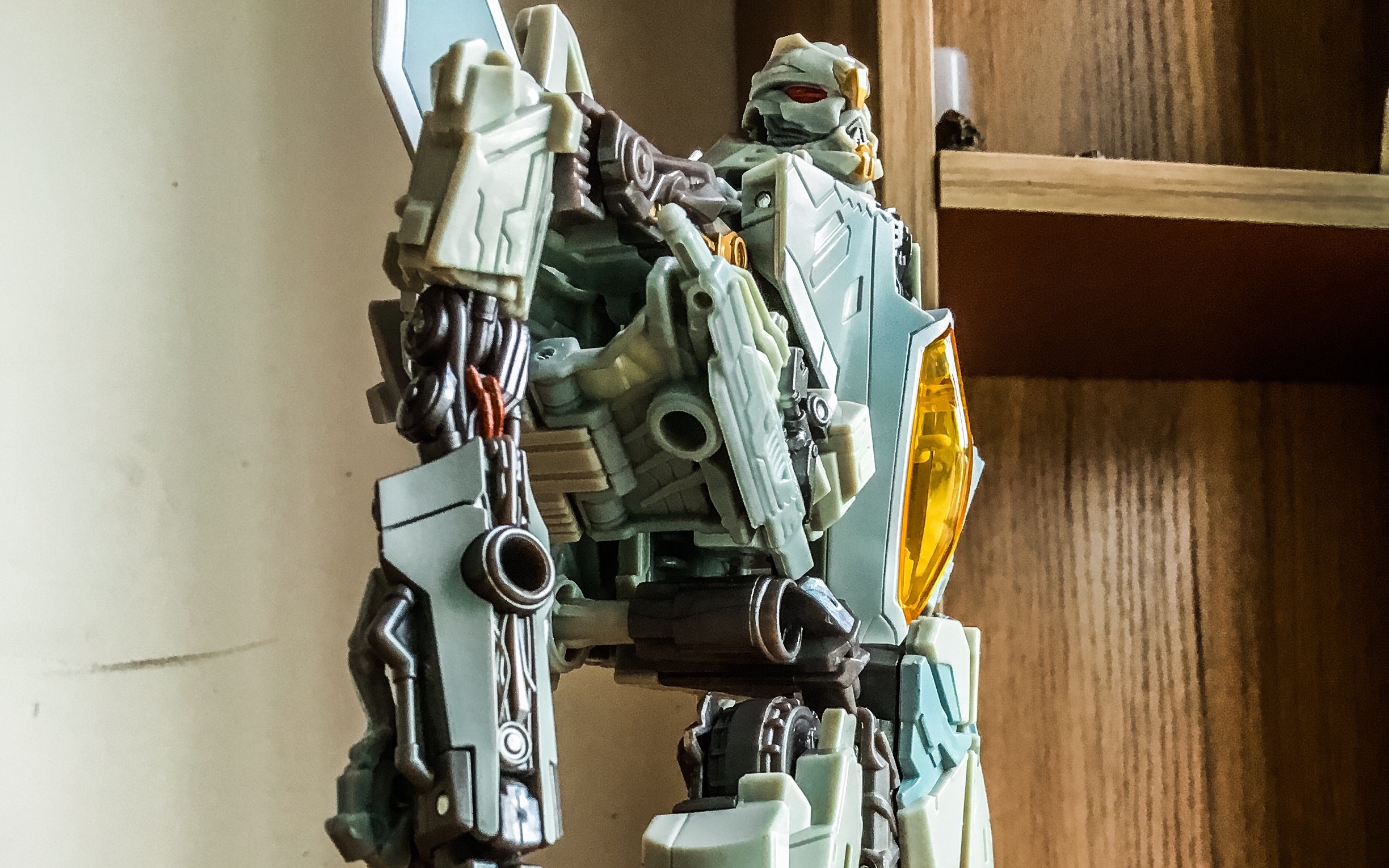 逝去的红蜘蛛 ss06红蜘蛛(星星叫)