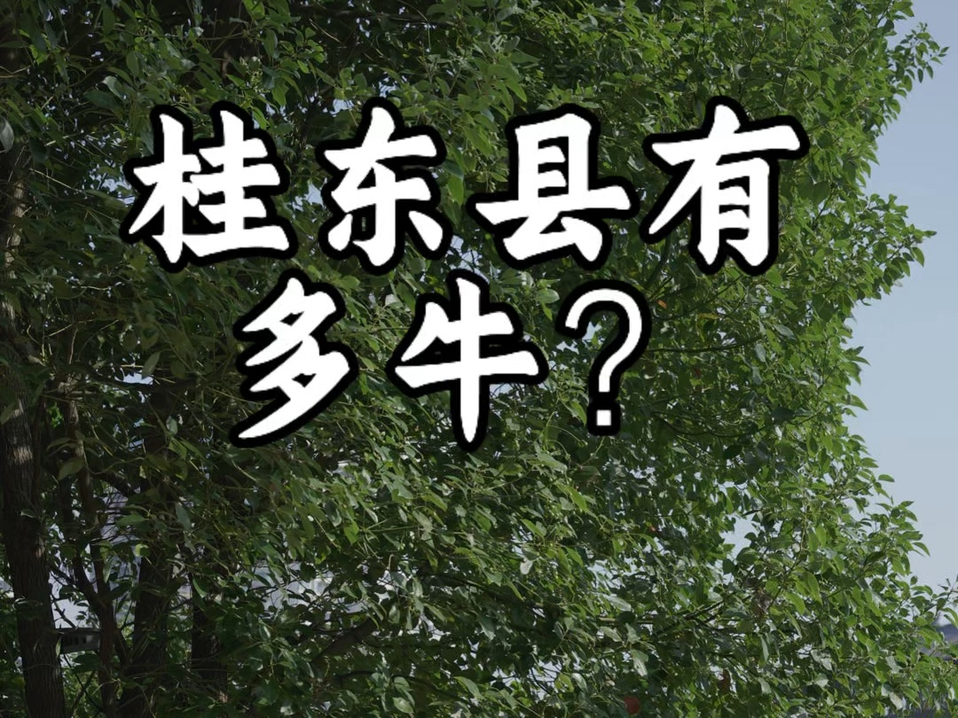 你知道湖南省的桂东县有多厉害吗?桂玉之地,紫气东来,桂东,桂东,桂阳之东!#家乡 #我的家乡 #朗诵 #旅游哔哩哔哩bilibili