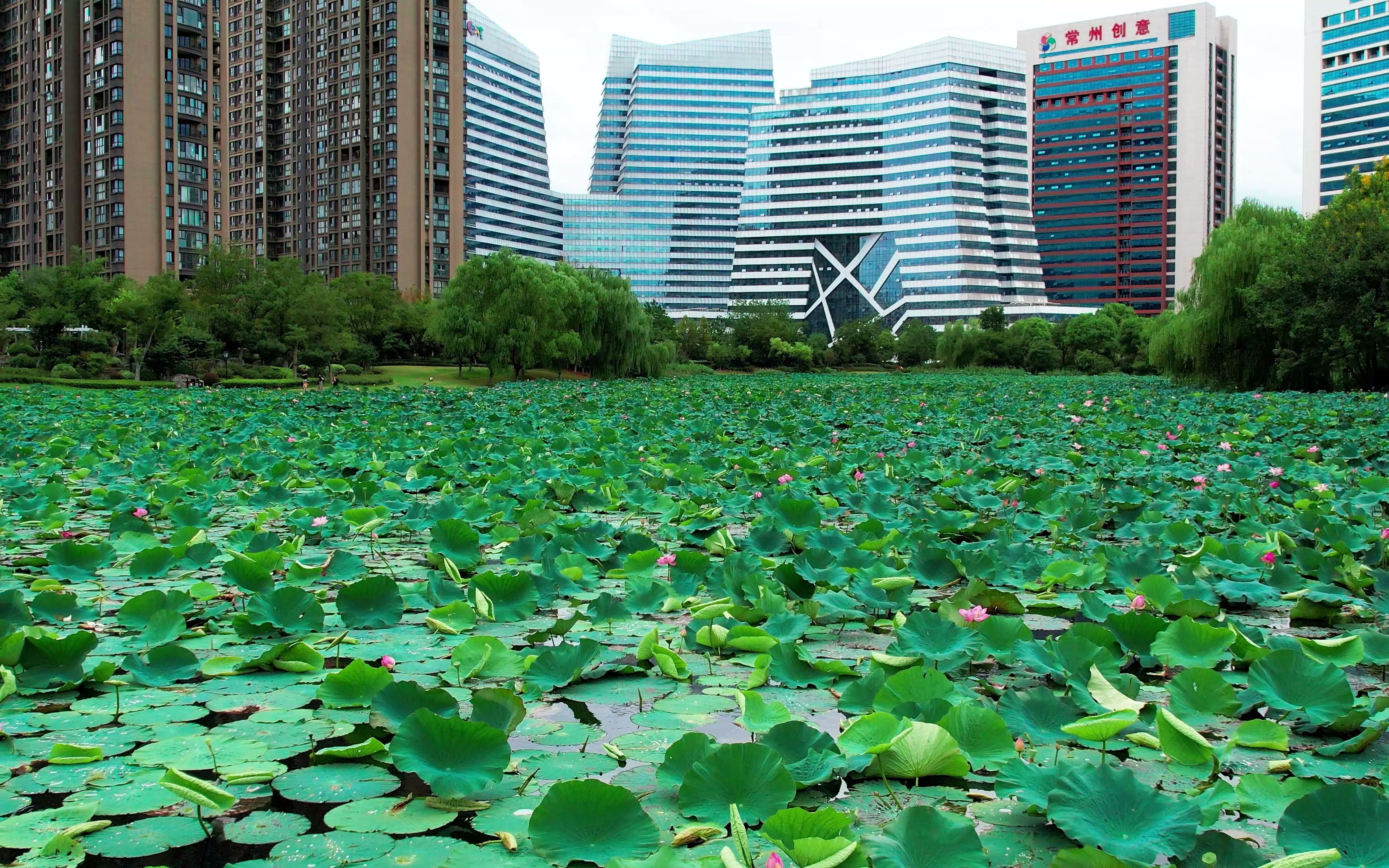 5级大风中大疆2s航拍常州创业园_哔哩哔哩_bilibili