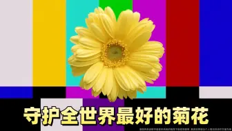 我要让这痔疮知道，谁才是这个身体的主人！