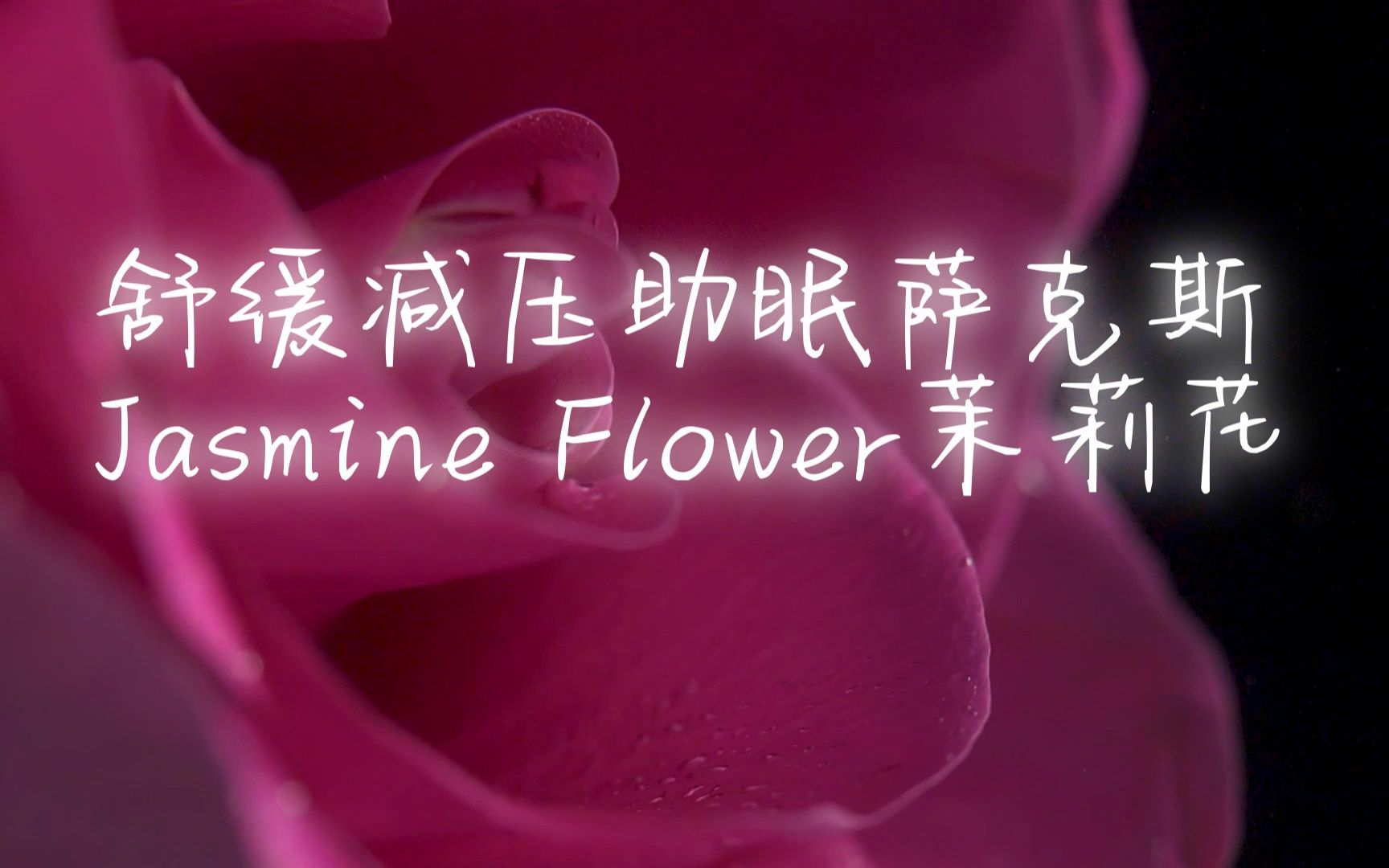 Jasmine Flower茉莉花哔哩哔哩bilibili