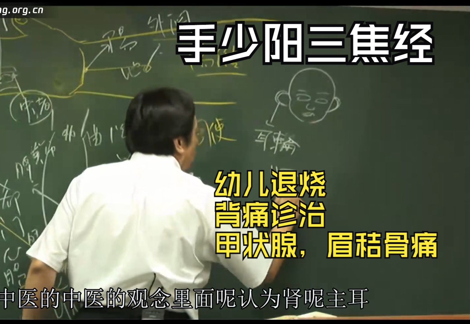 倪海厦《针灸大成》第二十四集-完整版