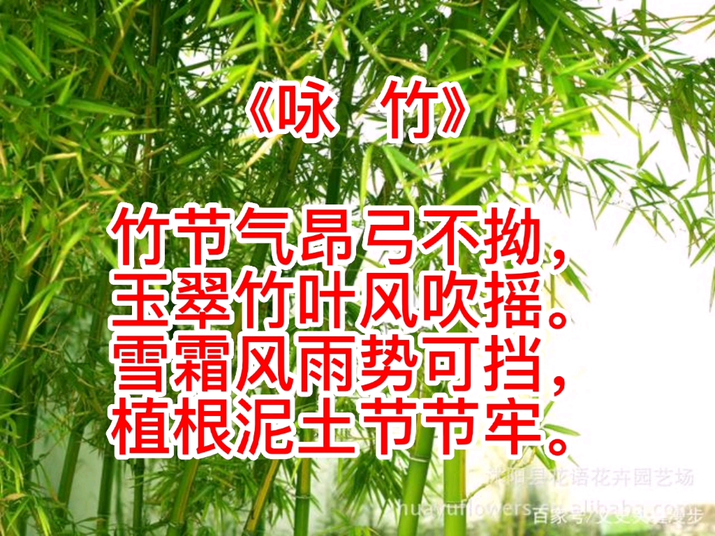 [图]自作七言古绝《咏竹》诗一首