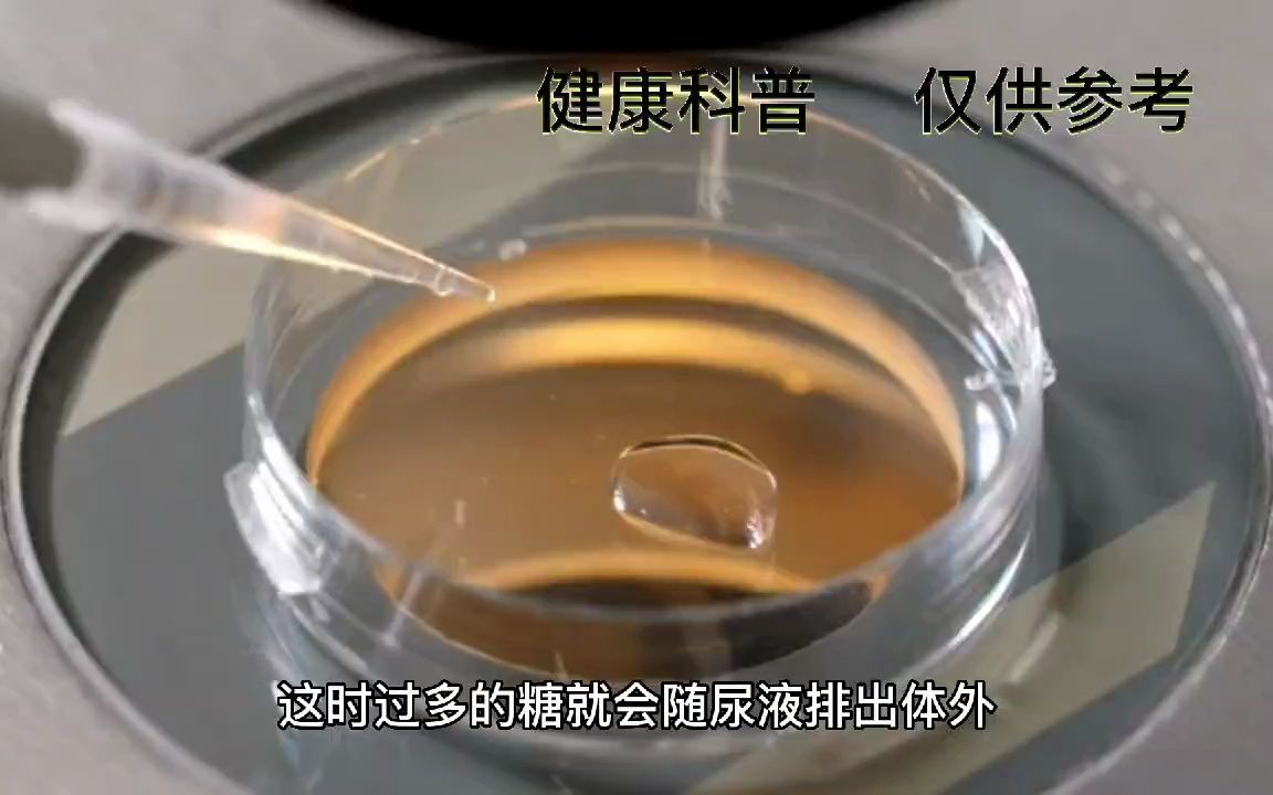 菠萝蜜营养价值及食用禁忌哔哩哔哩bilibili