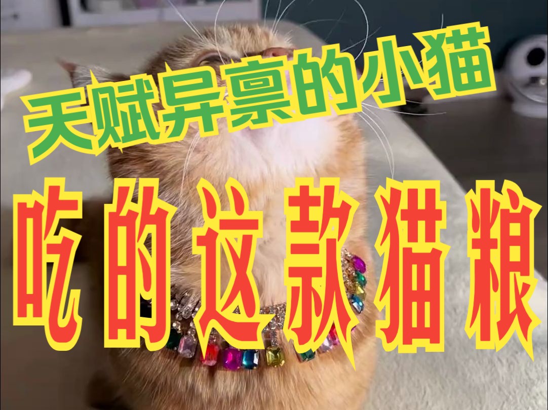 千层从小就天赋异禀,骨骼惊奇!