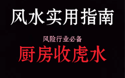 厨房如何布置,才能“收虎水”?「风水实用指南」我的愿望是,人人掌握自己的风水.批判式讲解风水,打破信息壁垒.哔哩哔哩bilibili