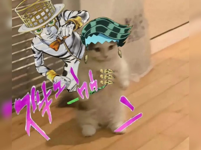 jojo?猫?