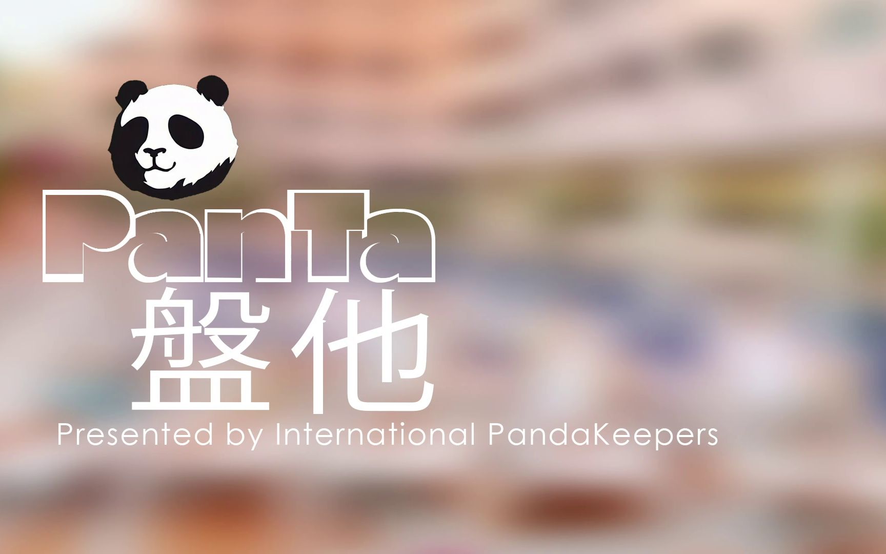 PanTa《盘他 》by 熊猫堂Produce Pandas | Parody MV 《Director's Cut》哔哩哔哩bilibili