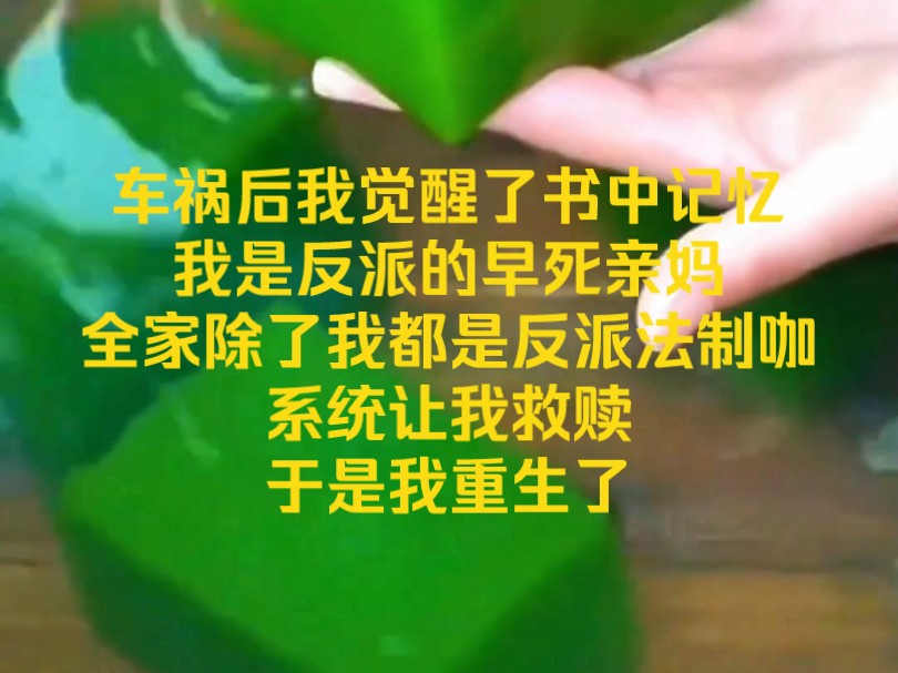 茗《薄荷不弃》车祸后我觉醒了书中记忆,我是反派的早死亲妈.全家除了我都是反派法制咖.系统让我救赎,于是我重生了.哔哩哔哩bilibili