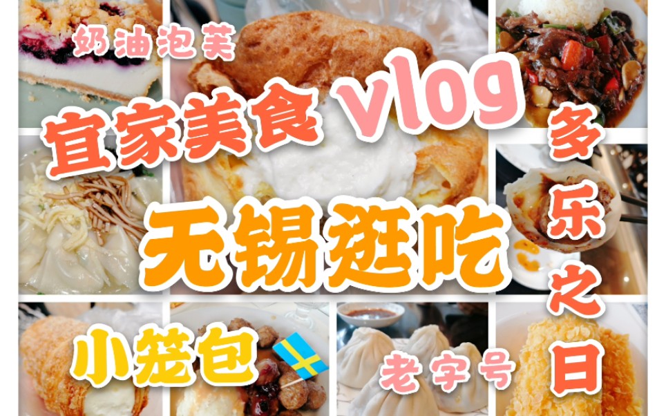 [逛吃vlog]去无锡吃一天!|熙盛源小笼包|宜家餐厅美食|多乐之日甜品测评|逛南禅寺哔哩哔哩bilibili