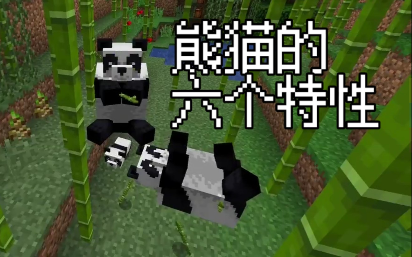 关于大熊猫的6个特性[大T]我的世界Minecraft哔哩哔哩bilibili