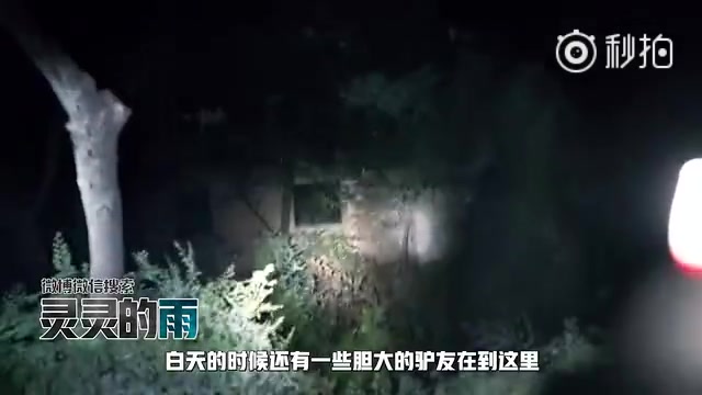 [图]有一位大胆小雨夜闯中国第一鬼村【封门村】