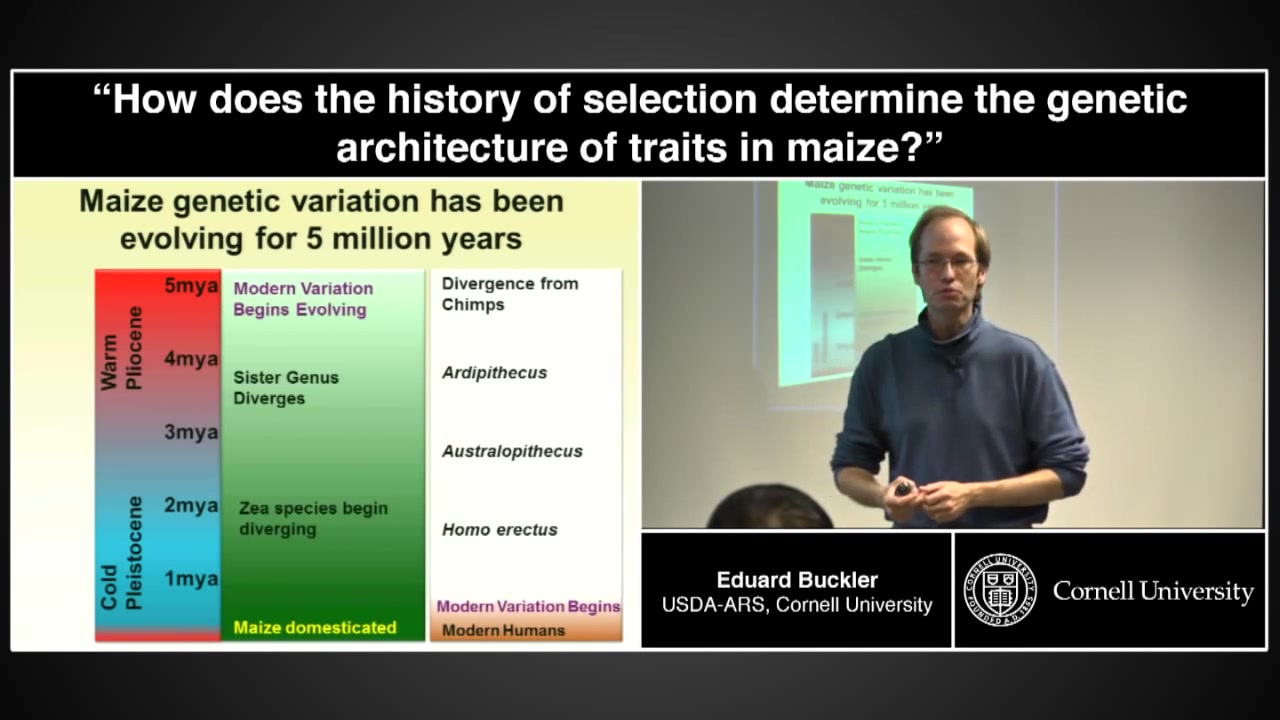 How does the history of selection determine the genetic architecture of maize?哔哩哔哩bilibili