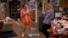 生活大爆炸 S01e02 Sheldon和leonard帮penny搬家具以及吐槽penny的公寓有多乱 哔哩哔哩 つロ干杯 Bilibili