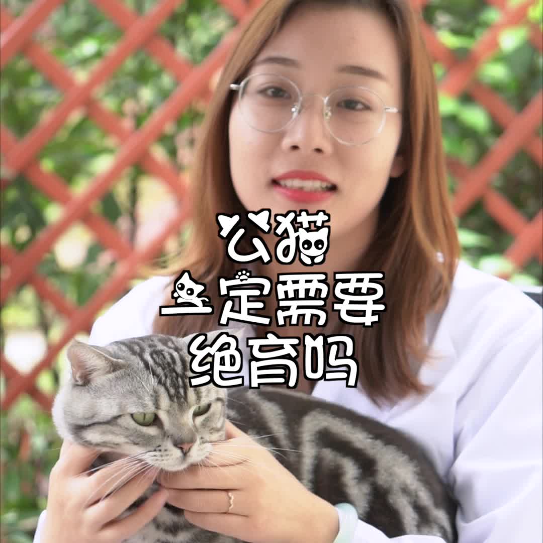 公猫一定需要绝育吗?哔哩哔哩bilibili