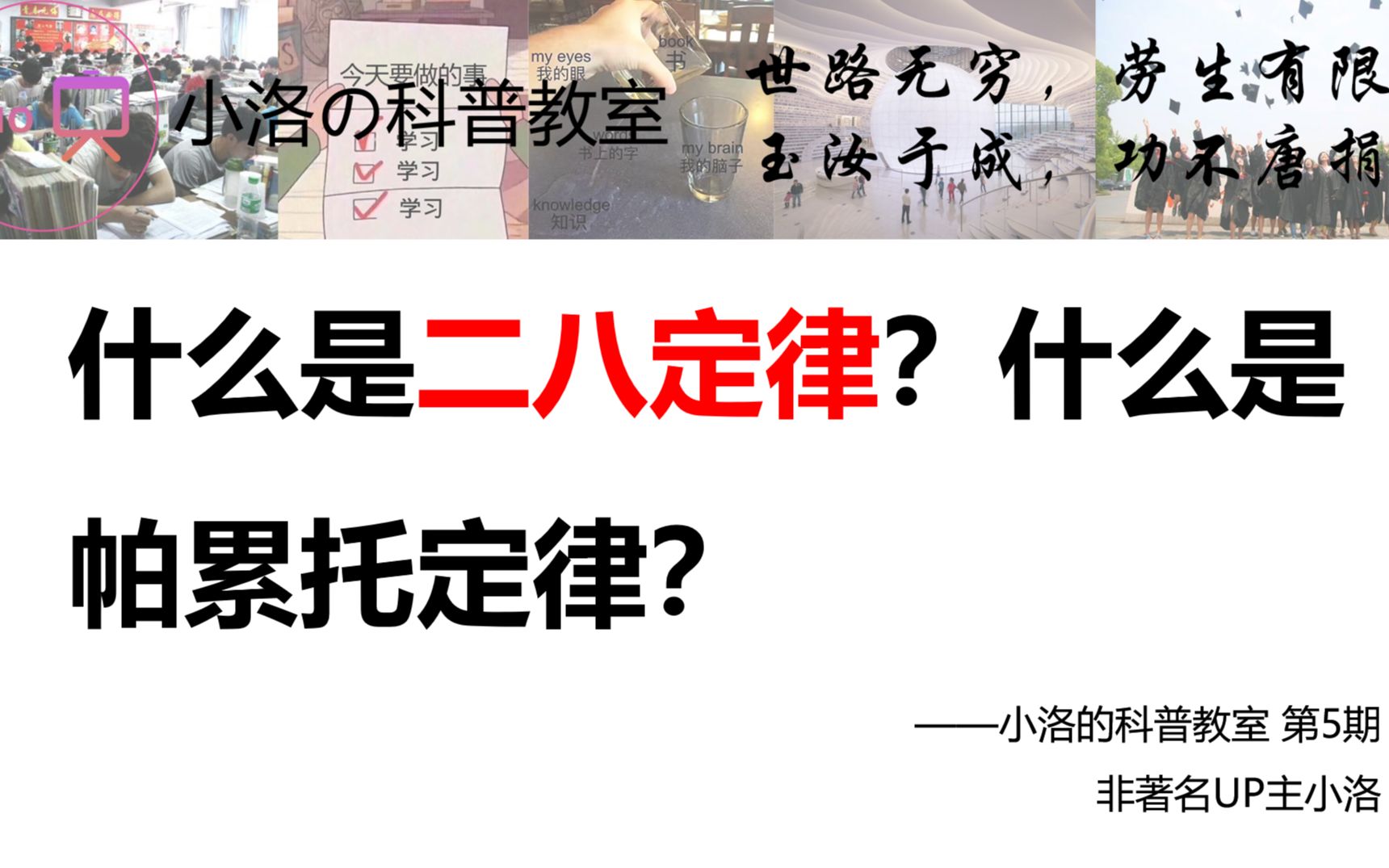 为什么有些人用20%的时间,就做完了80%的事?小洛教你二八定律【小洛/科普教室】哔哩哔哩bilibili