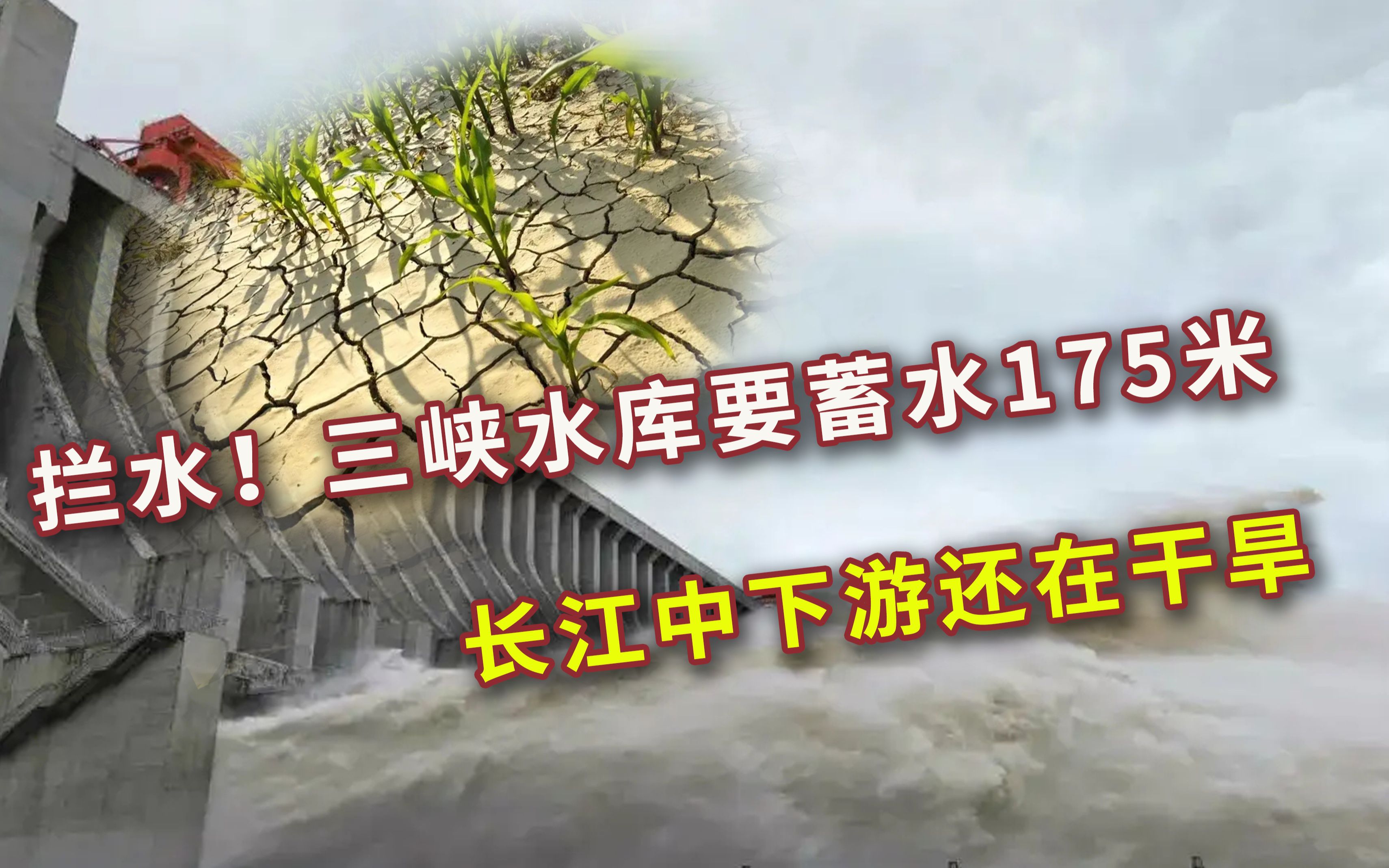 [图]拦水！三峡水库要蓄水175米，长江中下游还在干旱，为何这样做？