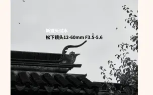 Download Video: 新镜头试水 松下镜头12-60mm F3.5-5.6  松下变焦镜头12-60一代