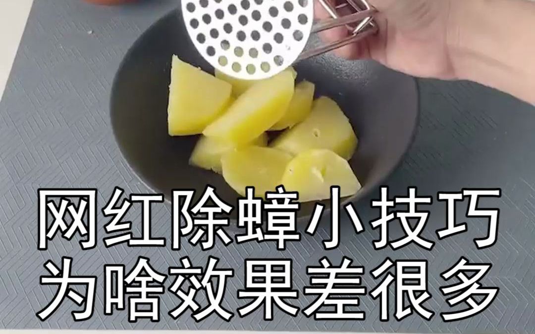 【蟑螂哥】硼酸+白糖+土豆泥:网红除蟑螂方法,为啥有人说好用;有人说P用没有?哔哩哔哩bilibili