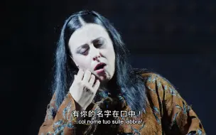 Download Video: 4K歌剧 咏叹调《主人，请听我说》Signore, ascolta! 选自普契尼《图兰朵》Turandot 10bit HDR 中意英字幕