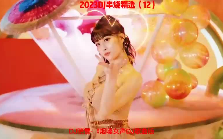 [图]2023DJ串烧精选（12）