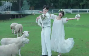 Download Video: 金莎《爱的魔法》好适合做婚礼MV📷超爱！