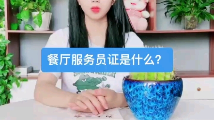 餐厅服务员证是什么?哔哩哔哩bilibili