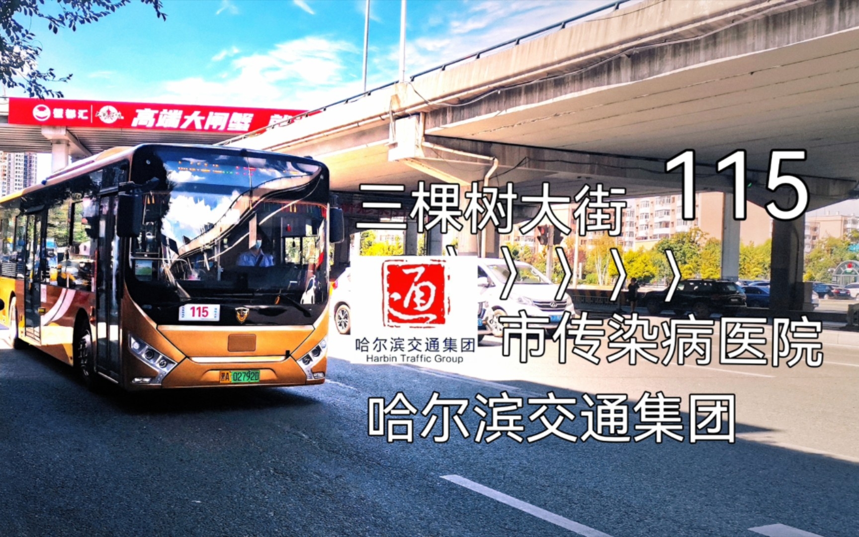 【冰城公交#03】 【含报站】 哈尔滨公交115路pov (三棵树大街→市