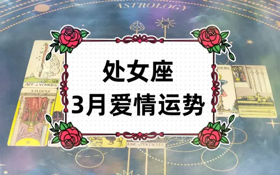 正羽塔罗:处女座2022.3月爱情运势哔哩哔哩bilibili