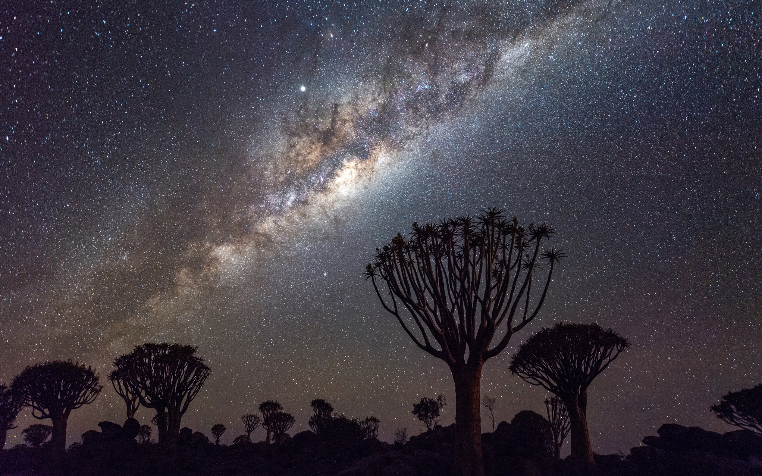 星空下的纳米比亚-听南山讲照片背后的故事vol.04