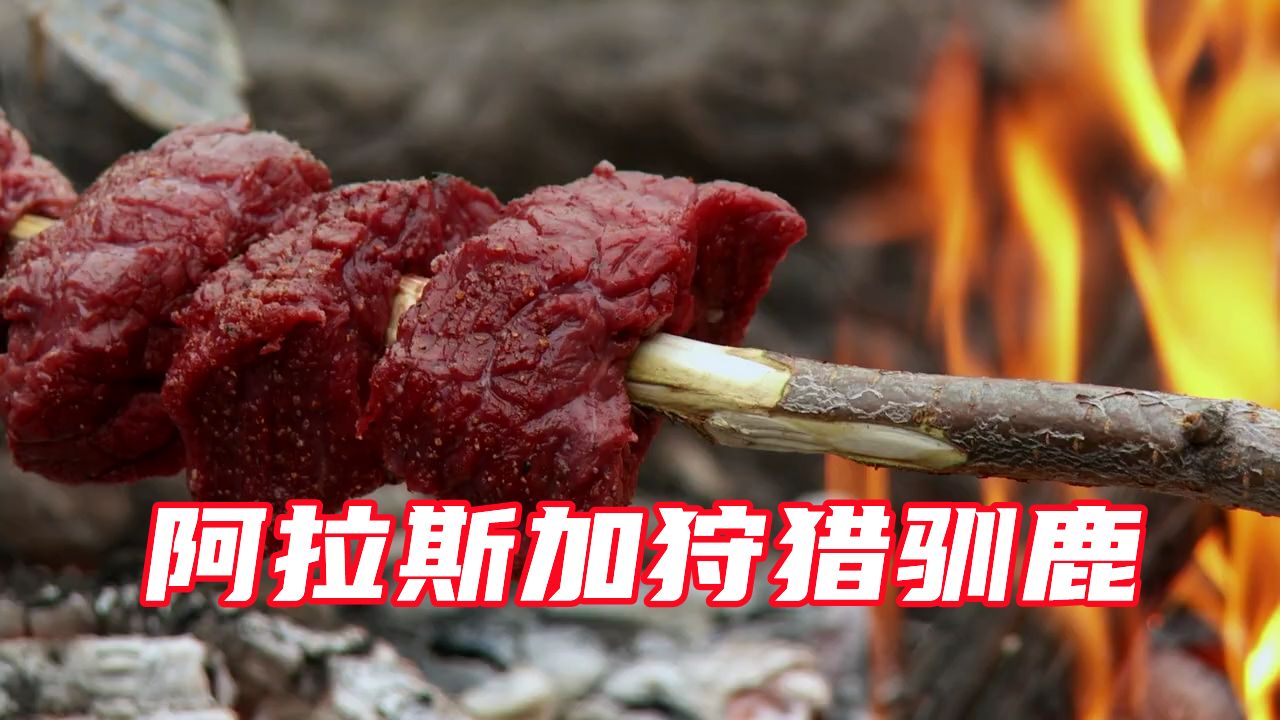 荒野猎人受尽千辛万苦，狩猎几百斤的驯鹿，然后吃起了烤肉太羡慕