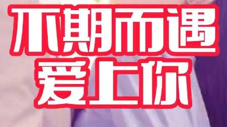 第4653集:不期而遇爱上你 好看的短剧又来了哔哩哔哩bilibili