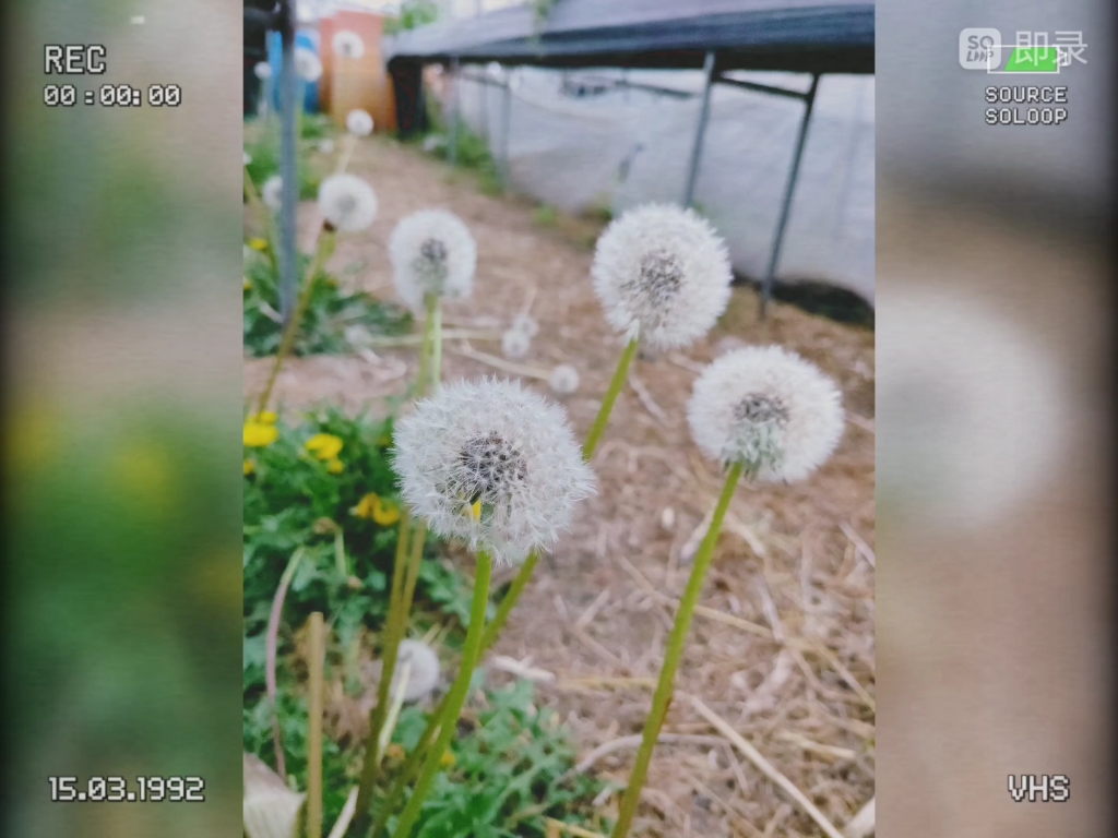 前方雾茫茫 置身在何方哔哩哔哩bilibili