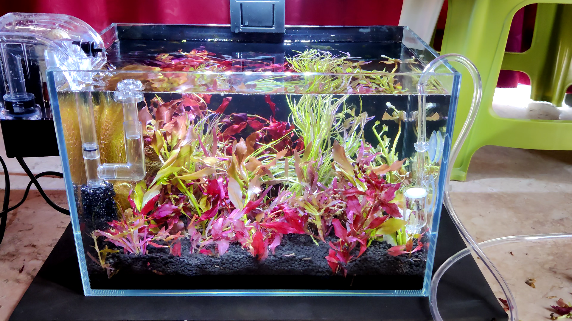 30厘米荷兰景草缸