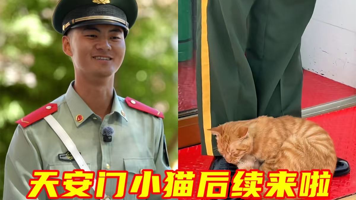 全网刷屏的天安门小猫，后续来了！原来，小猫是这样认识武警哥哥的~