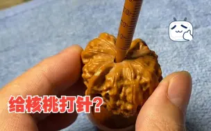 下载视频: 核桃加配重