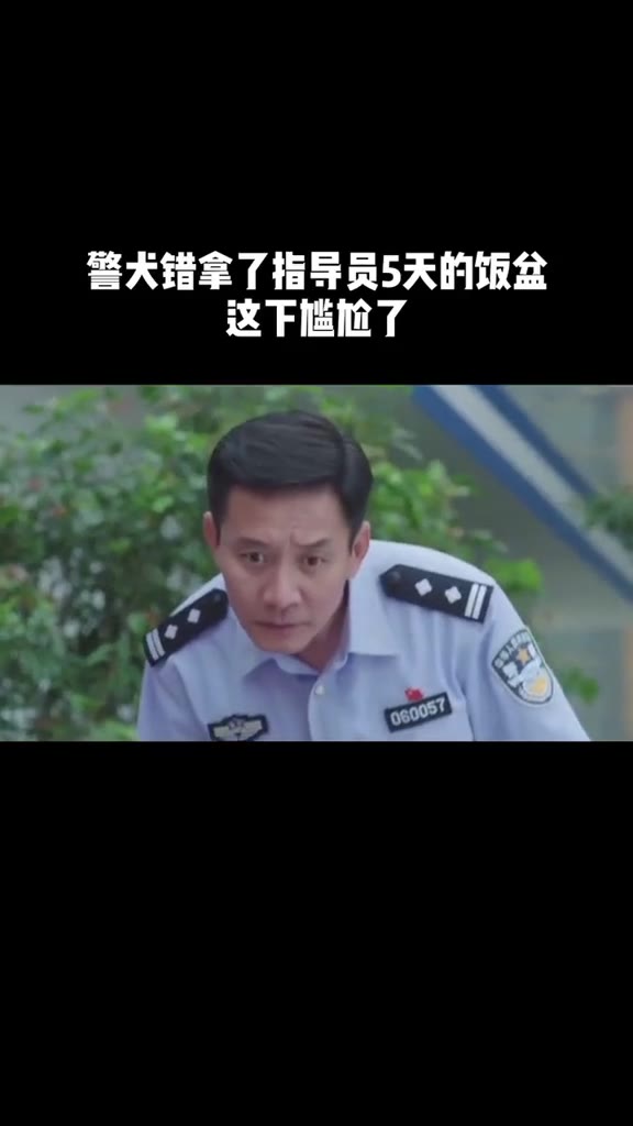 警犬来啦哔哩哔哩bilibili