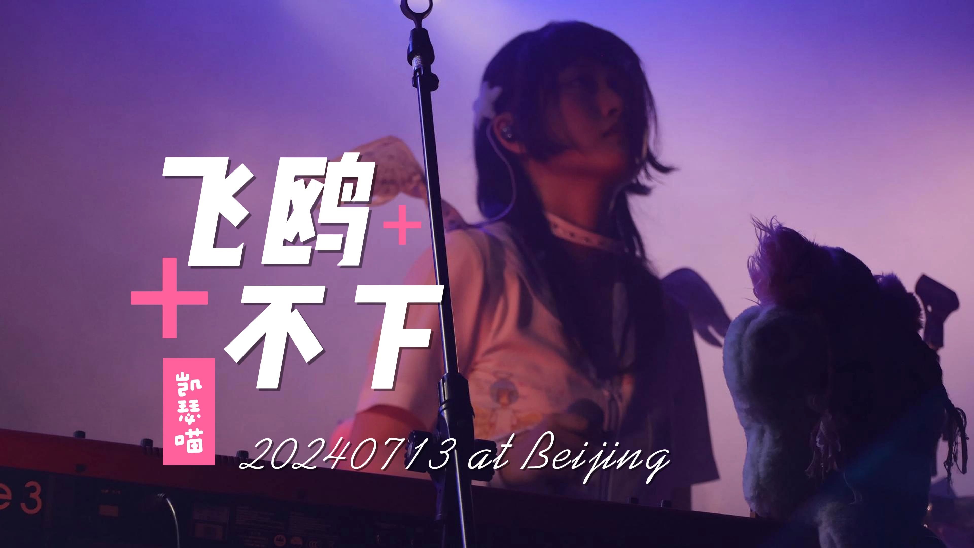 【凯瑟喵】《飞鸥不下》20240713@北京
