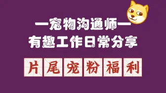 Download Video: 【0元沟通宠粉福利】你想象不到的童趣世界——我做宠物沟通的这些年