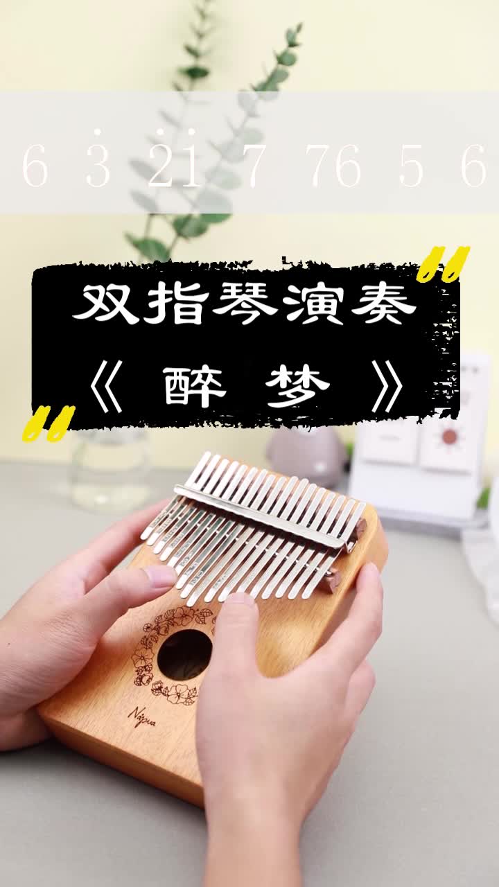 超简单乐器双指琴卡林巴琴拇指琴手指琴演奏弹奏《陈情令·醉梦》曲谱
