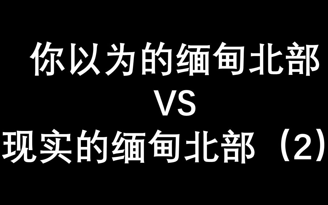 [图]这里是缅甸北部（2）请待在你的地方，娇贵的小腰子！